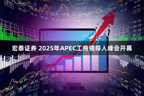 宏泰证券 2025年APEC工商领导人峰会开幕